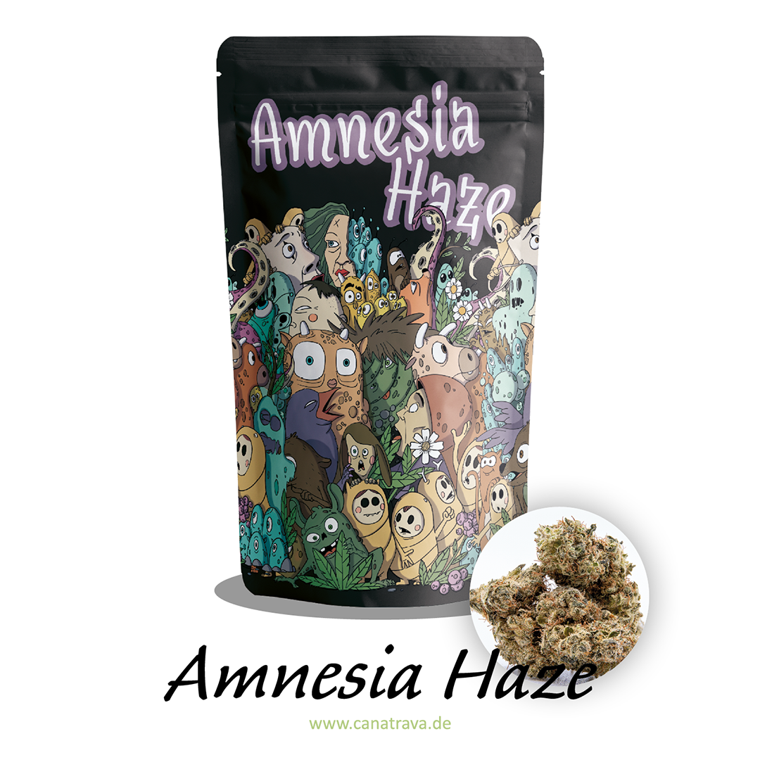 Amnesia Haze CBD