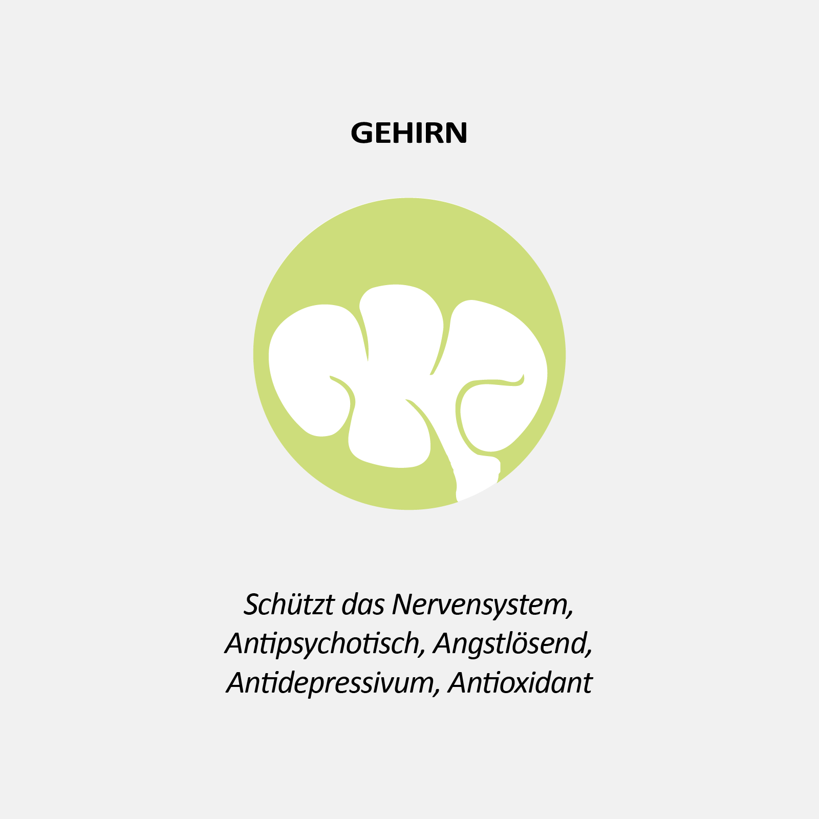 CBD Öl 30 % – 3000 mg | Premium Vollspektrum | Laborgeprüft | THC < 0,2 %