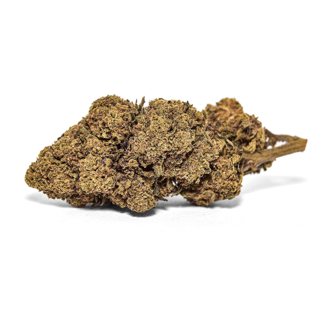 CBC+ Blüte Fruit Punch mit kompakter Struktur und braungrünem Farbton auf hellem Hintergrund