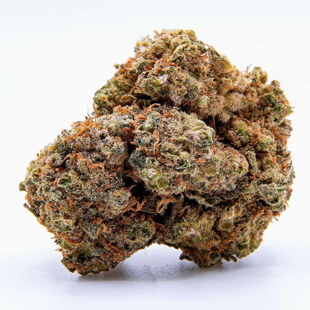 CBD Gelato Blüten mit heller Trichomschicht, grünen Nuancen und orangefarbenen Blütenfäden auf hellem Hintergrund