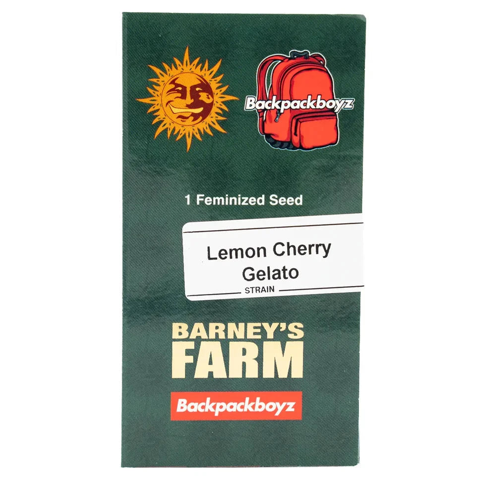 LEMON CHERRY GELATO - Feminisierte Cannabis-Samen