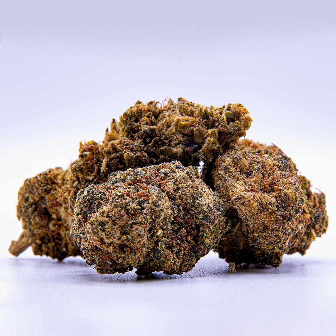 CBD O.G. Kush Blüten mit kompakter Struktur, dunklen Grüntönen und orangefarbenen Blütenfäden auf hellem Hintergrund