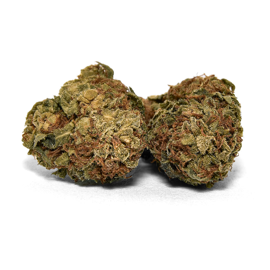 Zwei CBC+ Blüten Orange Bud mit kompakter Form, grünen Nuancen und orangefarbenen Blütenfäden