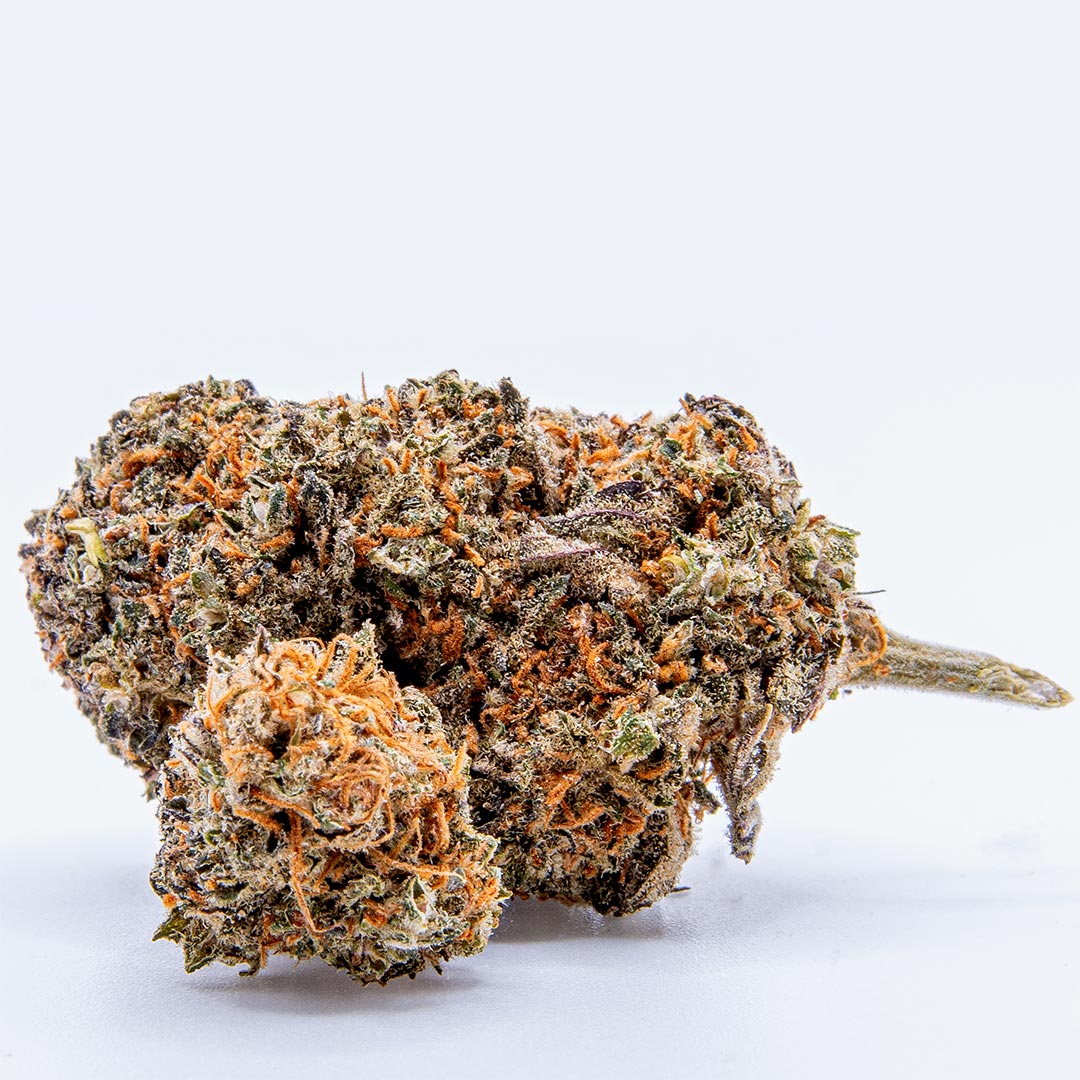 CBD Zkittlez Blüte mit violetten und grünen Nuancen, dichter Trichomschicht und orangefarbenen Blütenfäden auf hellem Hintergrund