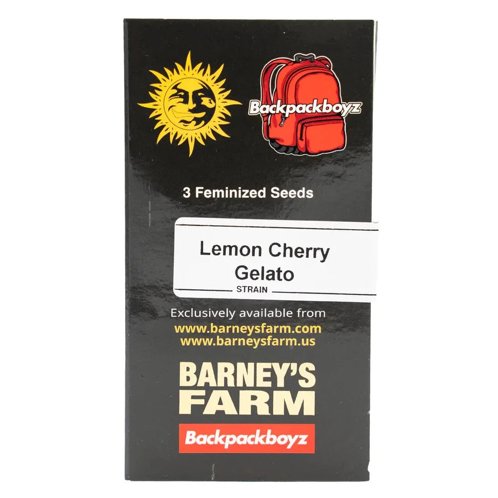 LEMON CHERRY GELATO - Feminisierte Cannabis-Samen