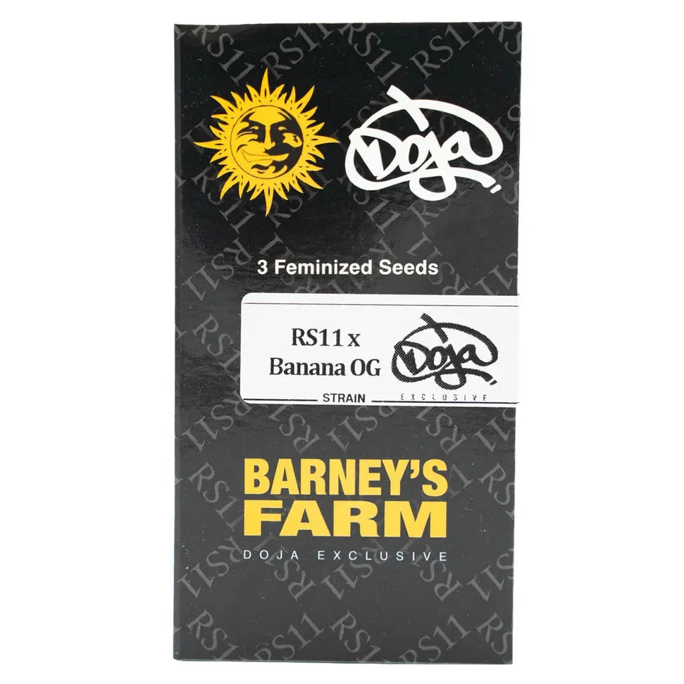 RS11 x BANANA OG - Feminisierte Cannabis-Samen