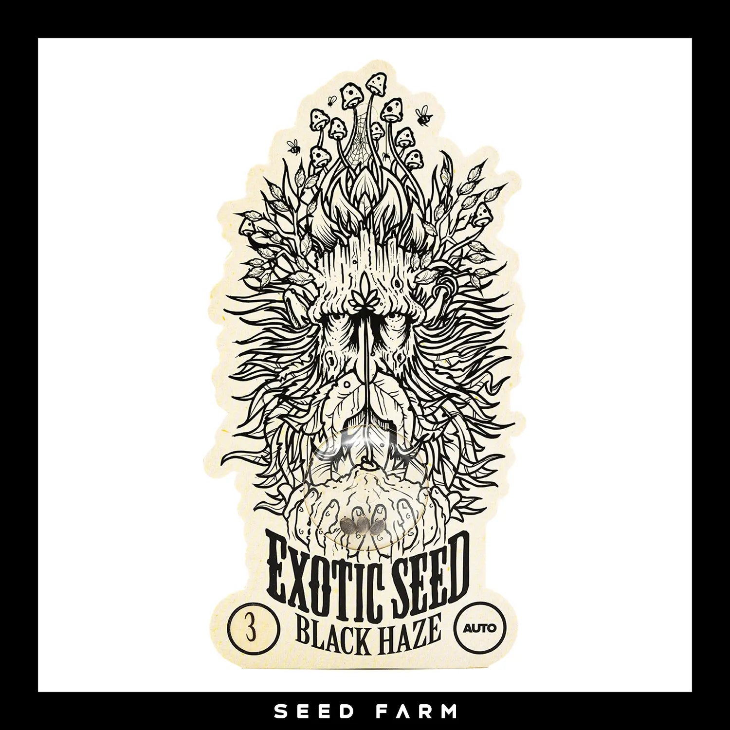 BLACK HAZE - Autoflower Cannabis-Samen