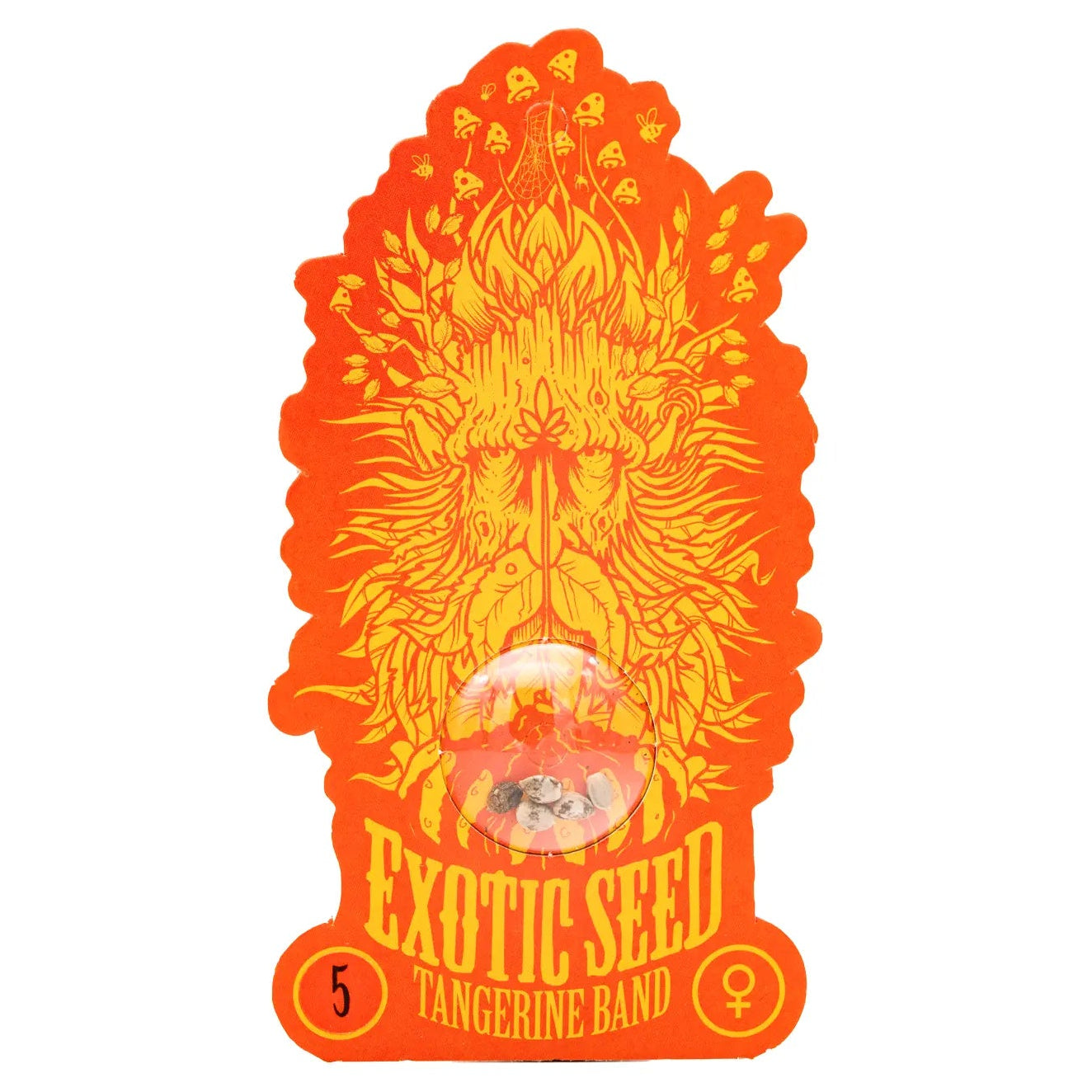 TANGERINE BAND - Feminisierte Cannabis-Samen