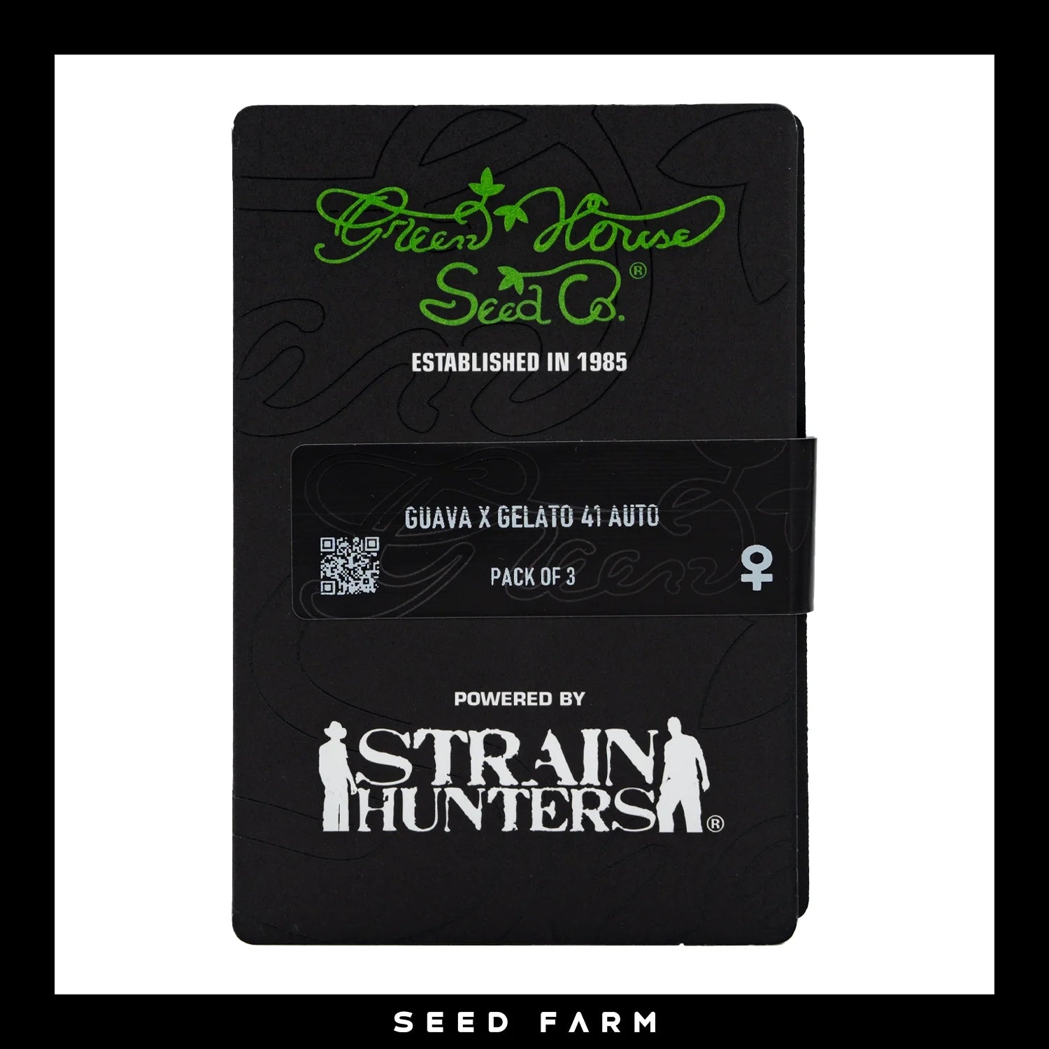 GUAVA x GELATO 41 - Autoflower Cannabis-Samen