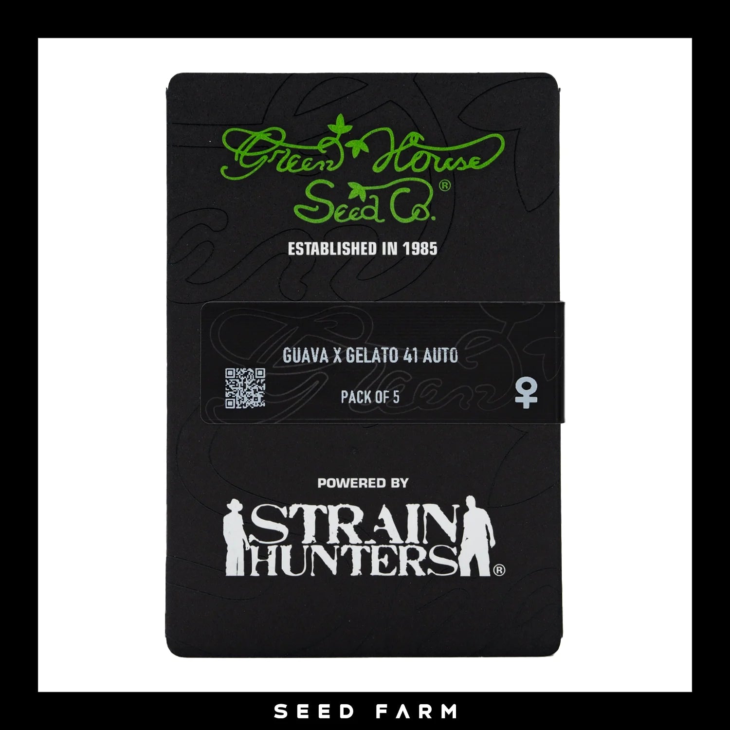 GUAVA x GELATO 41 - Autoflower Cannabis-Samen