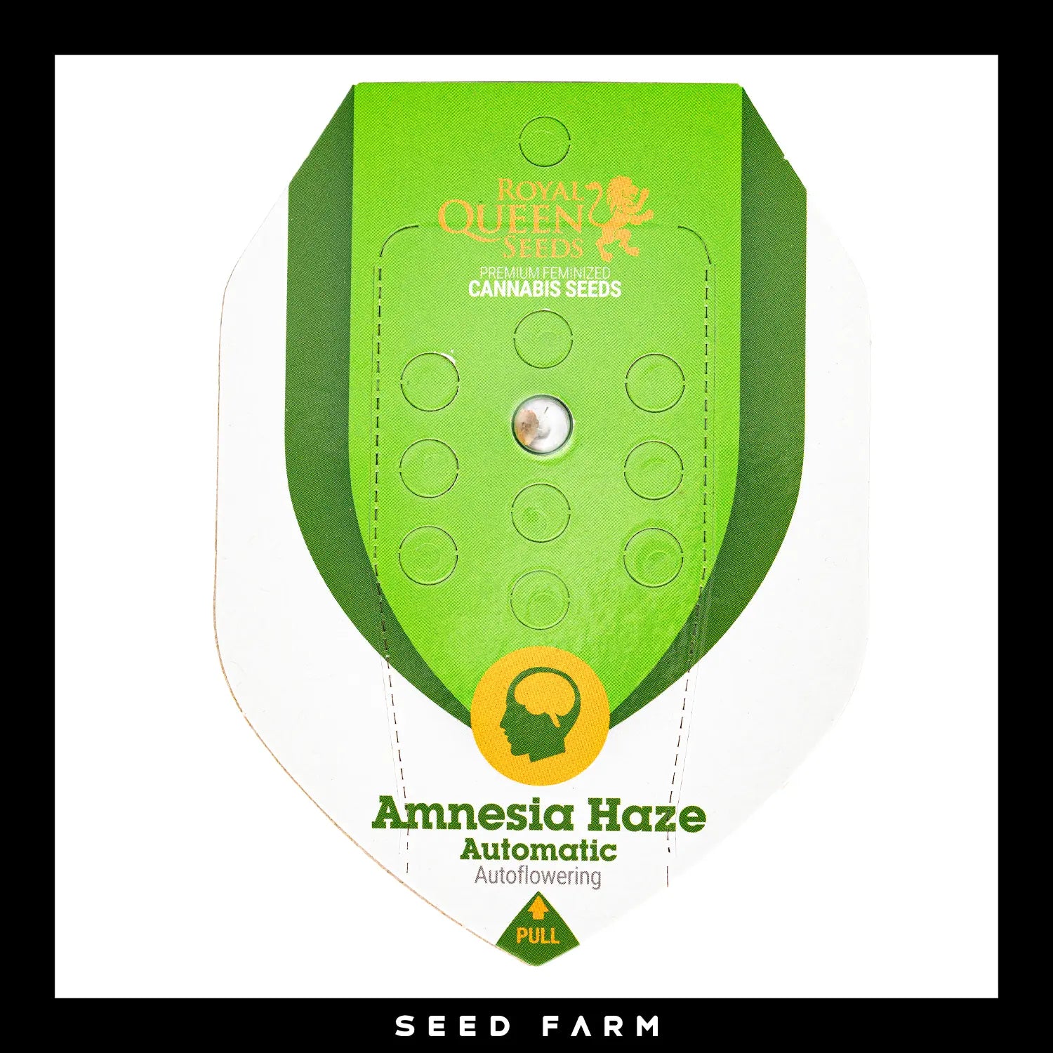 AMNESIA HAZE - Autoflower Cannabis-Samen