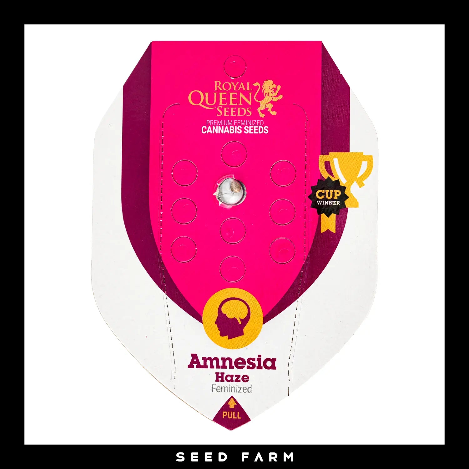 AMNESIA HAZE - Feminisierte Cannabis-Samen