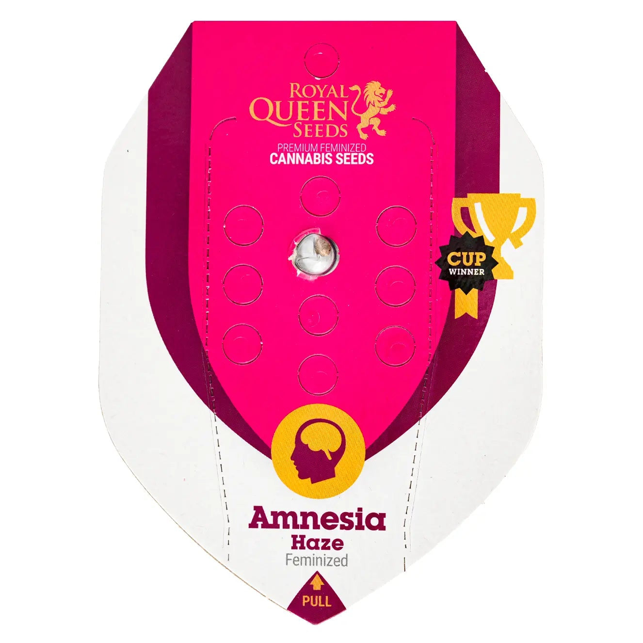 AMNESIA HAZE - Feminisierte Cannabis-Samen - RQS