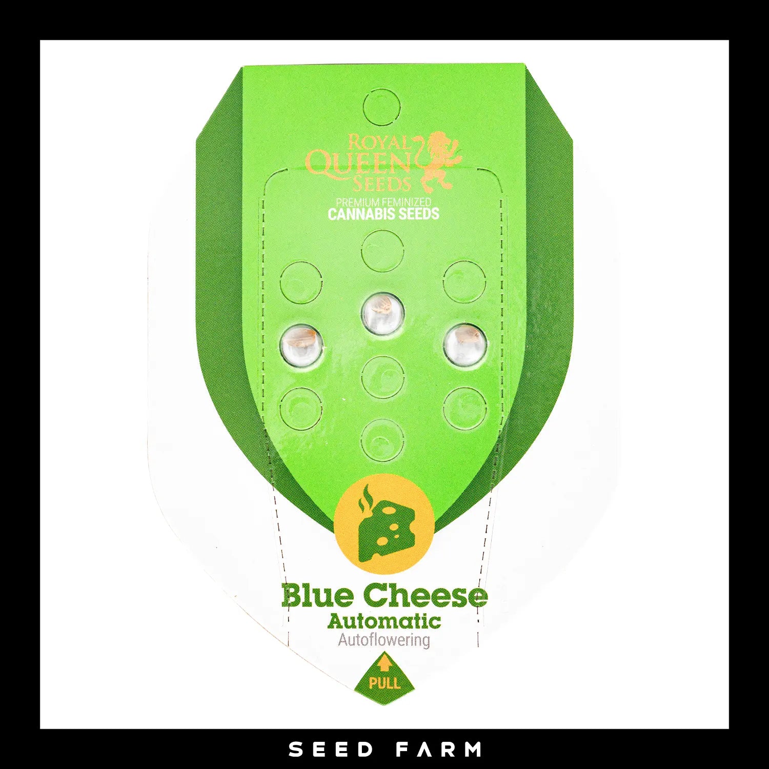 BLUE CHEESE - Autoflower Cannabis-Samen