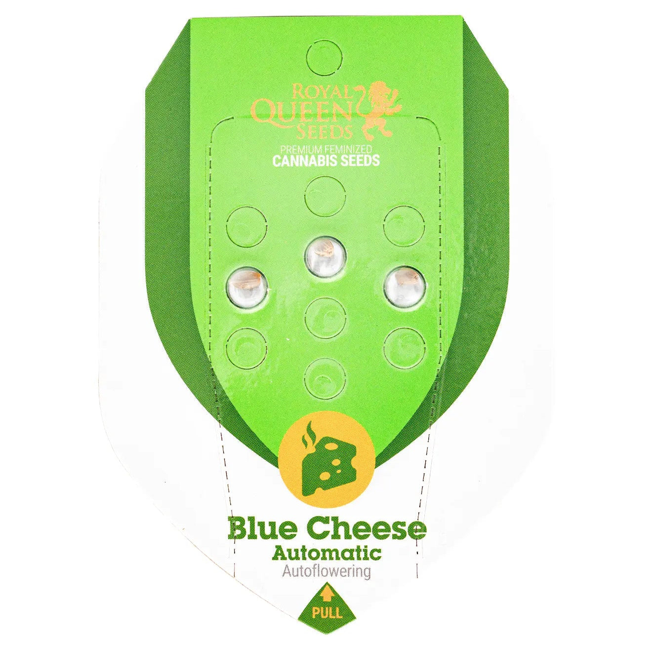 BLUE CHEESE - Autoflower Cannabis-Samen
