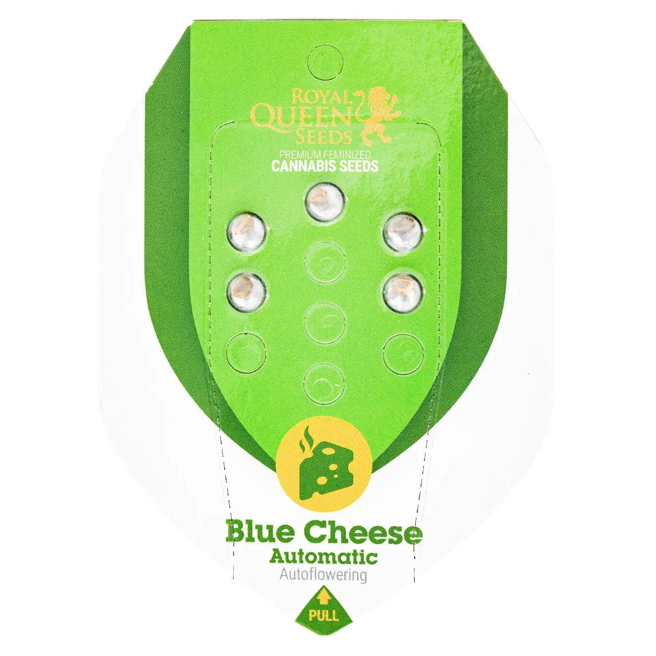 BLUE CHEESE - Autoflower Cannabis-Samen