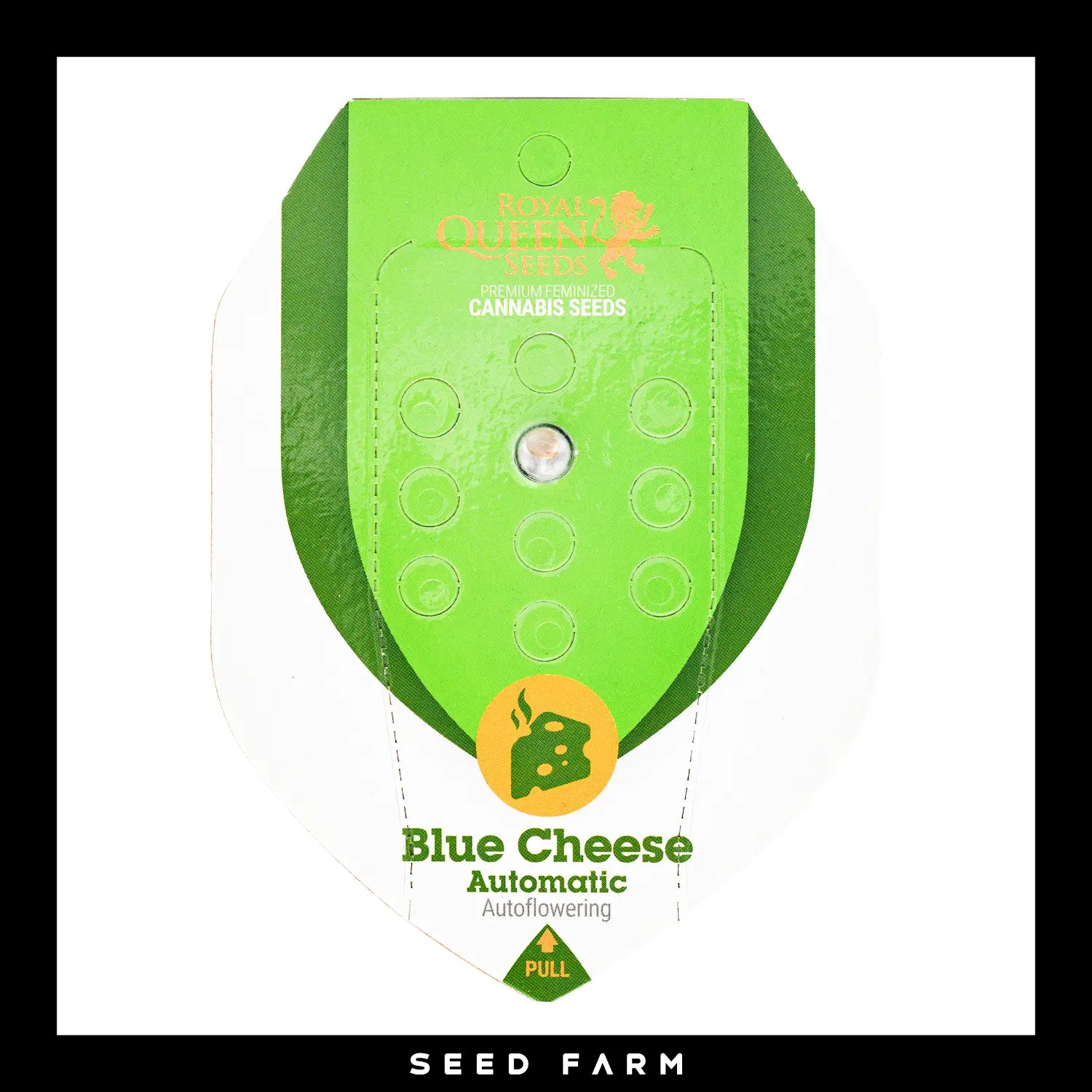 BLUE CHEESE - Autoflower Cannabis-Samen