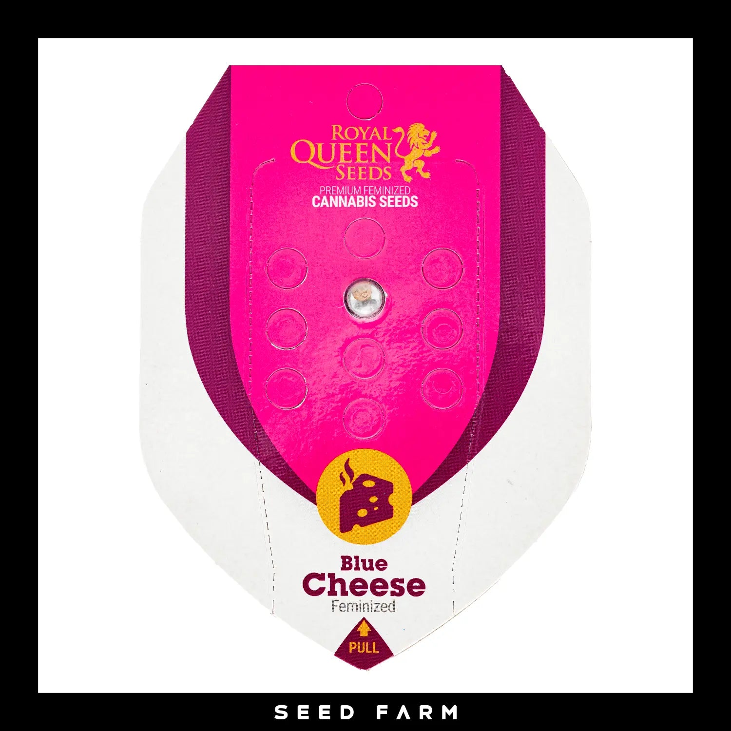 BLUE CHEESE - Feminisierte Cannabis-Samen