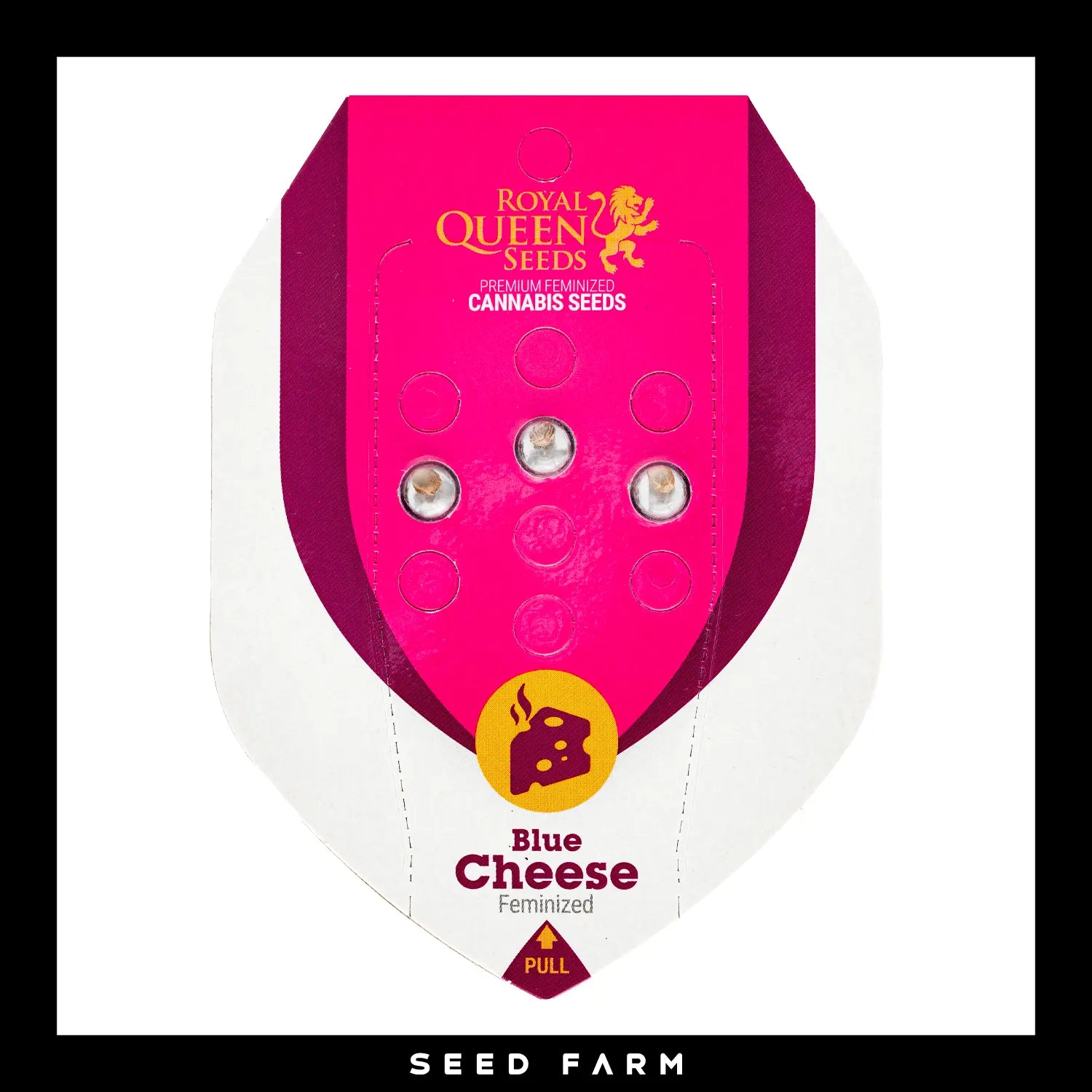 BLUE CHEESE - Feminisierte Cannabis-Samen