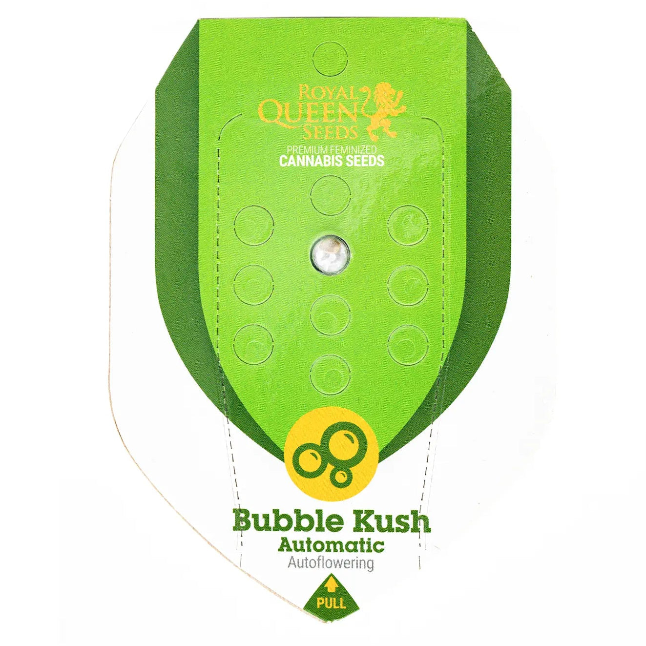 BUBBLE KUSH - Autoflower Cannabis-Samen