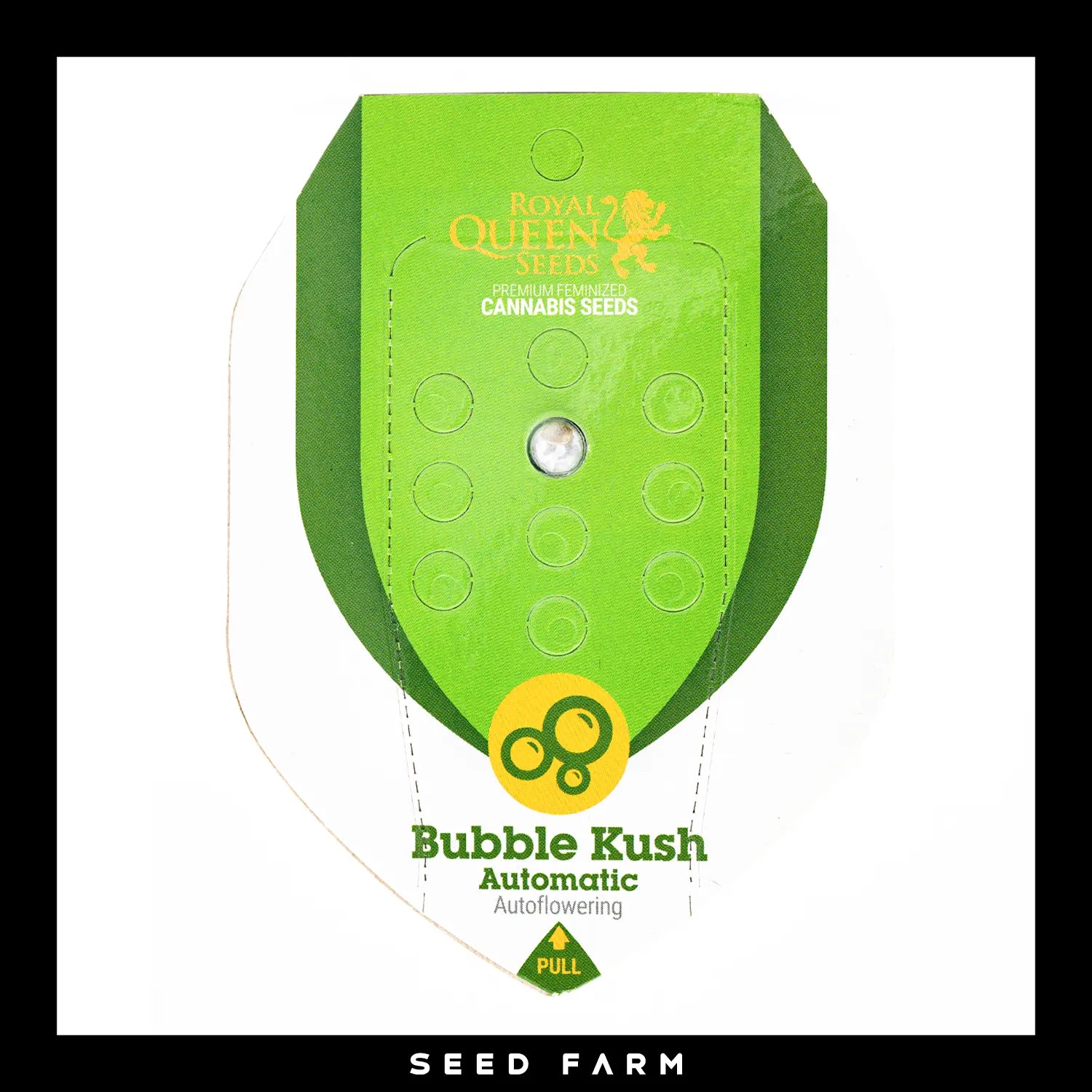 Royal Queen Seeds - BUBBLE KUSH - Automatic