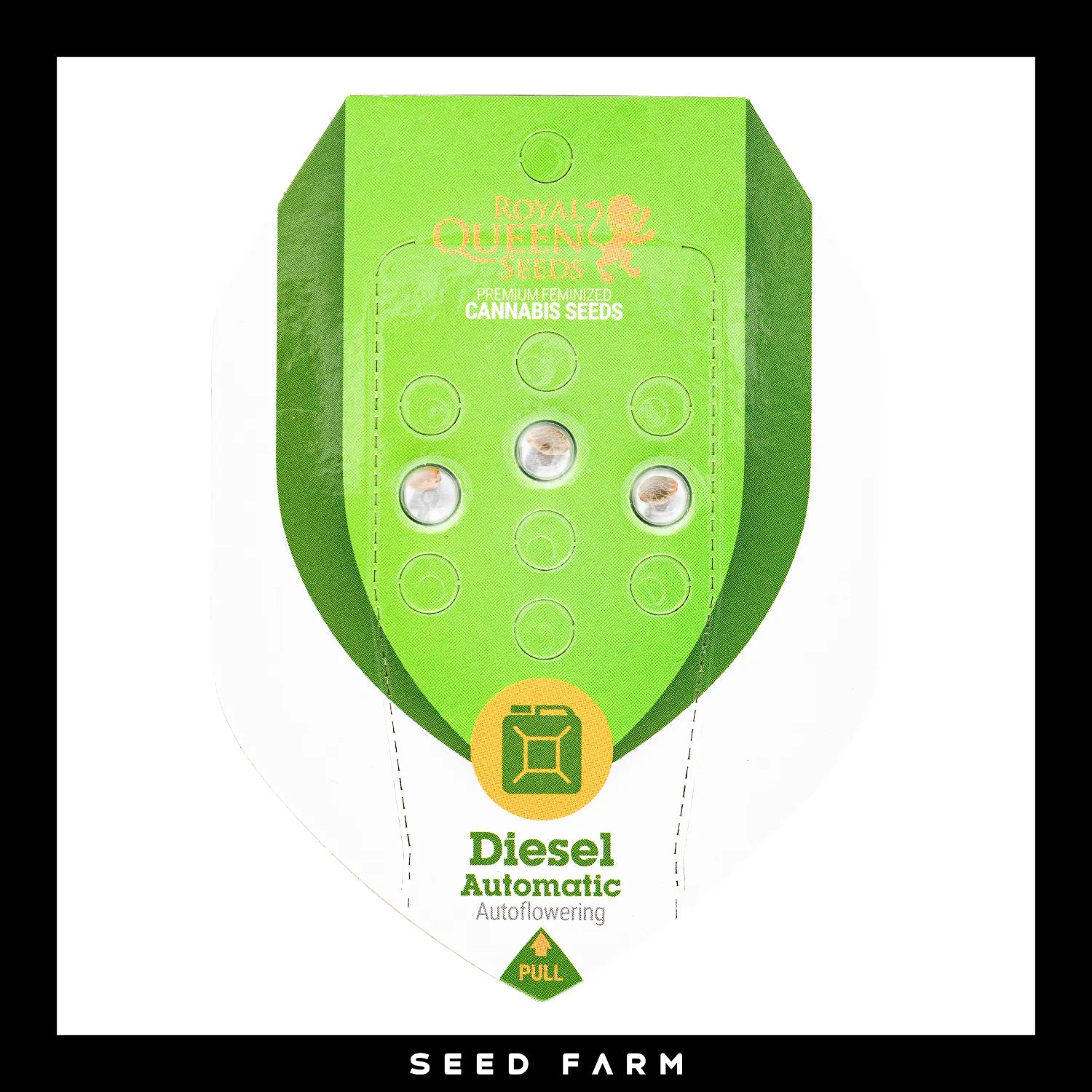 DIESEL - Autoflower Cannabis-Samen