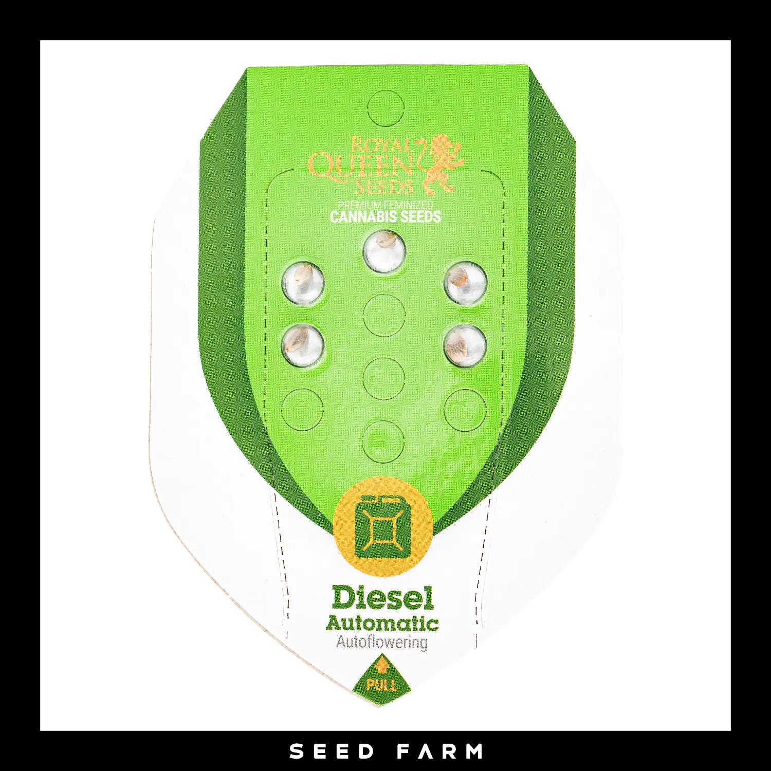 DIESEL - Autoflower Cannabis-Samen