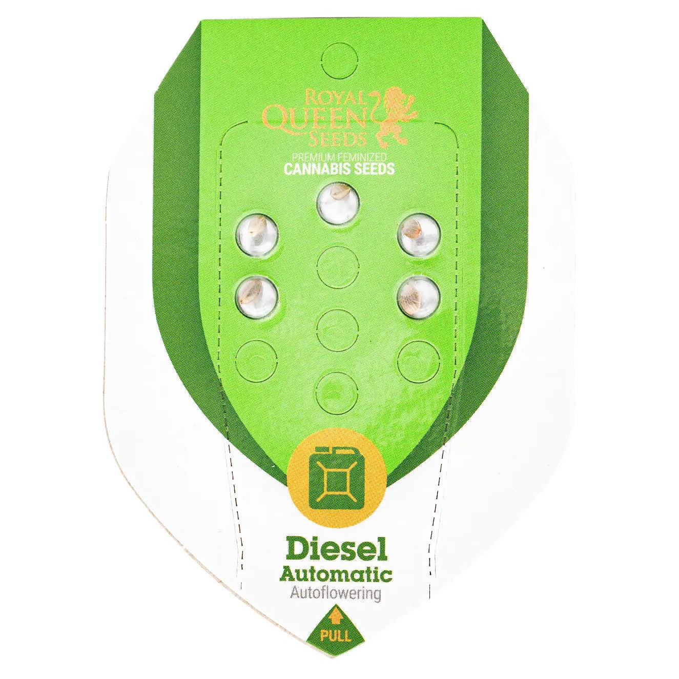 DIESEL - Autoflower Cannabis-Samen