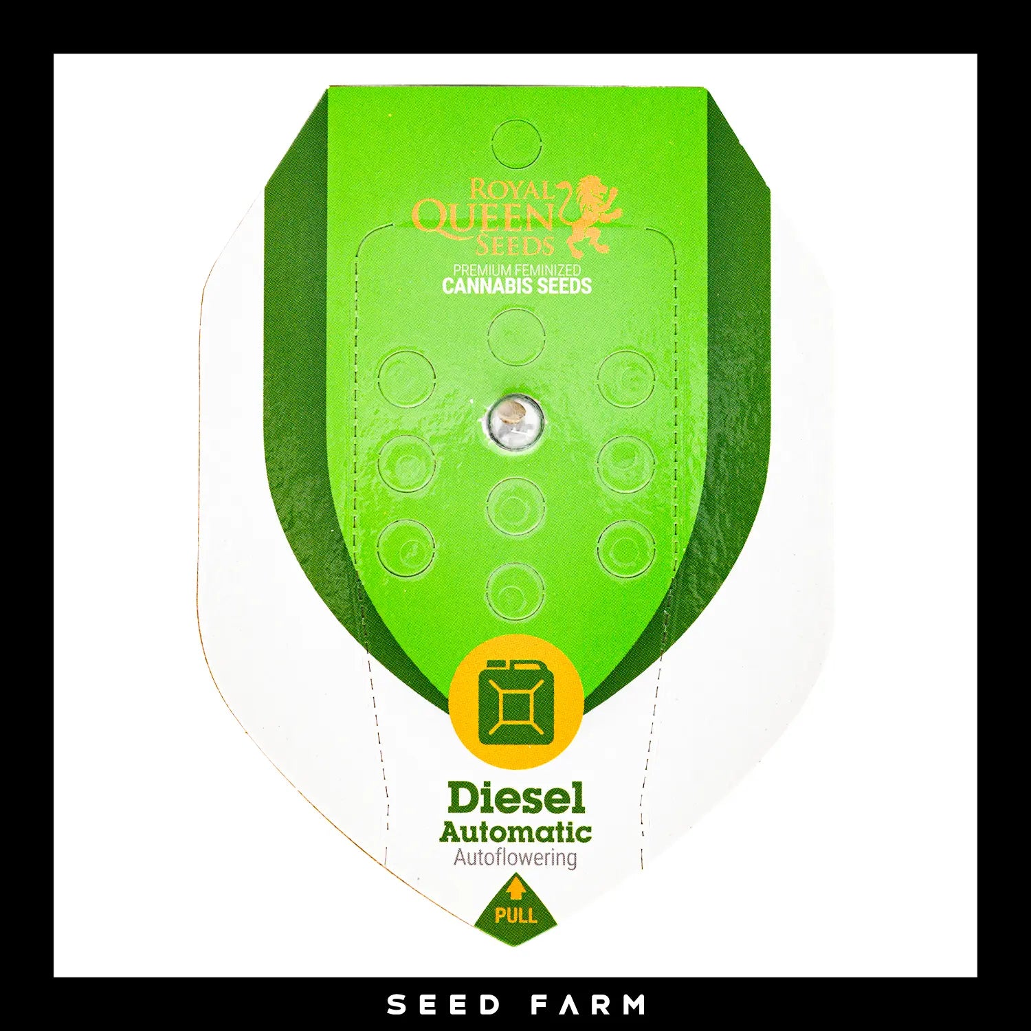 DIESEL - Autoflower Cannabis-Samen