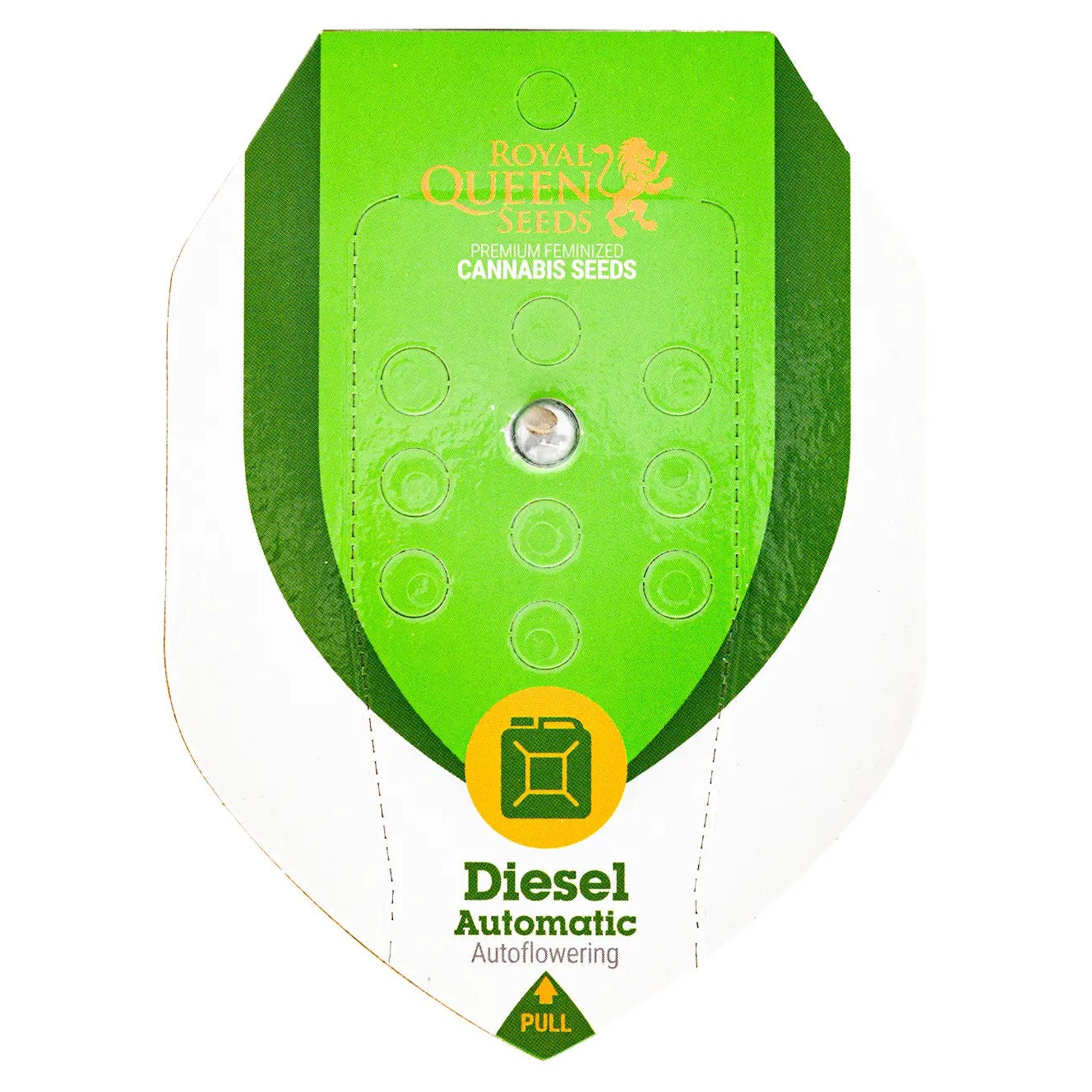 DIESEL - Autoflower Cannabis-Samen