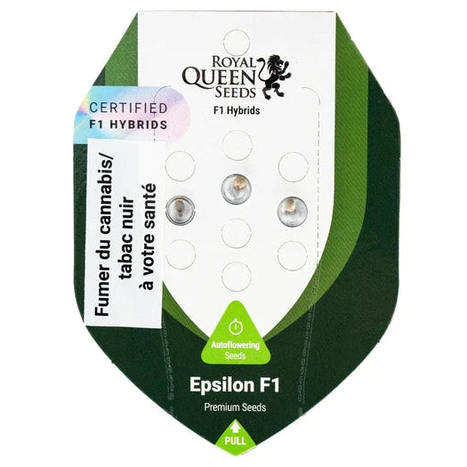 Epsilon F1 - Autoflower Cannabis-Samen