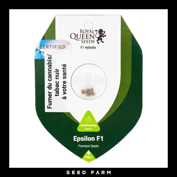Epsilon F1 - Autoflower Cannabis-Samen