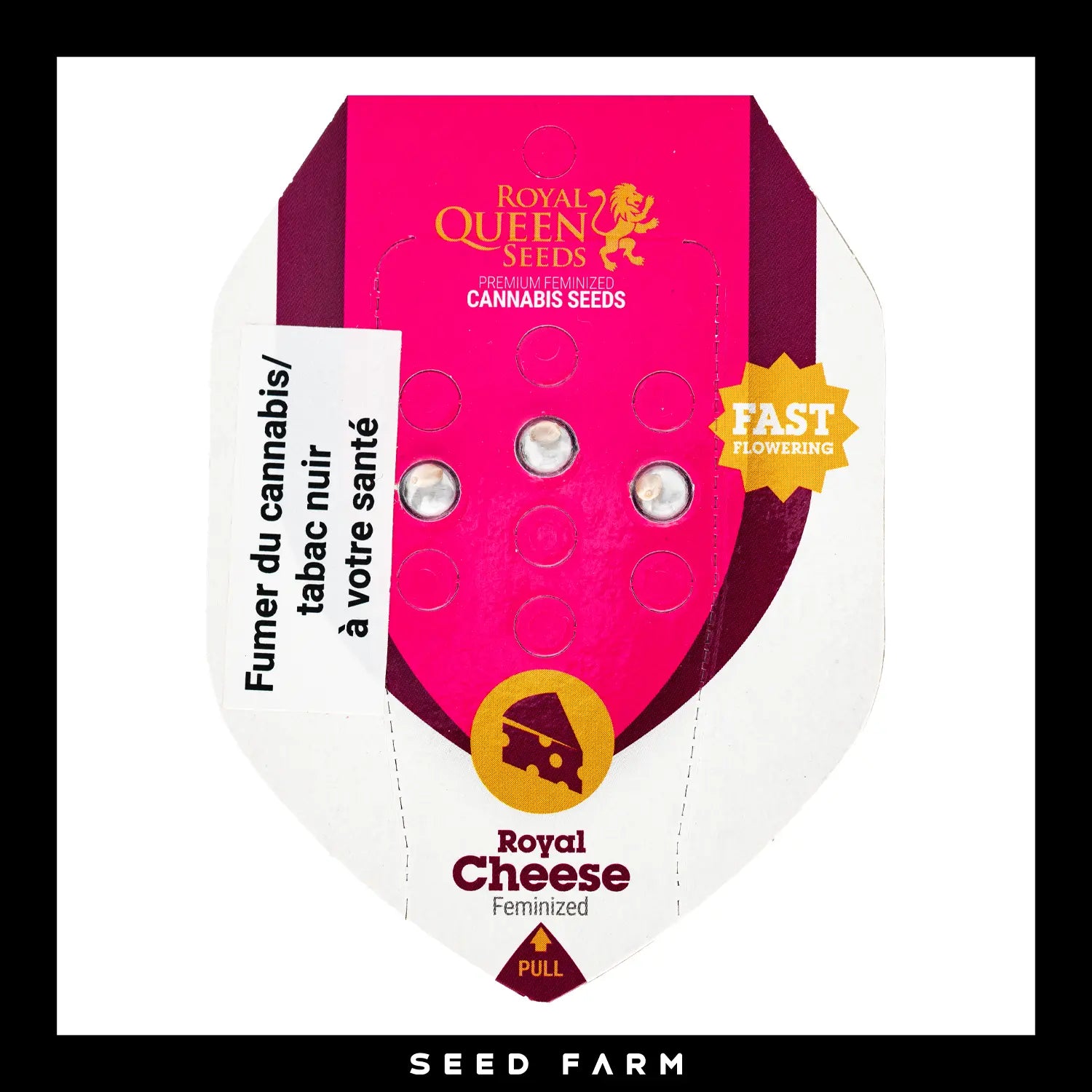 ROYAL CHEESE - Feminisierte Cannabis-Samen
