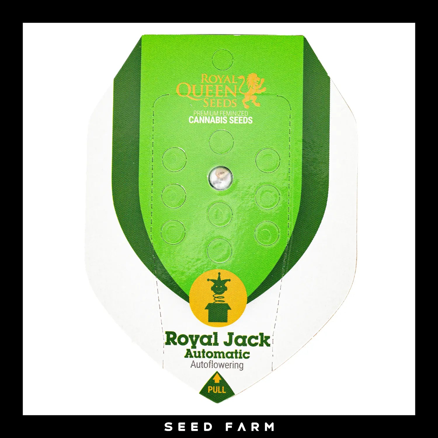 ROYAL JACK - Autoflower Cannabis-Samen