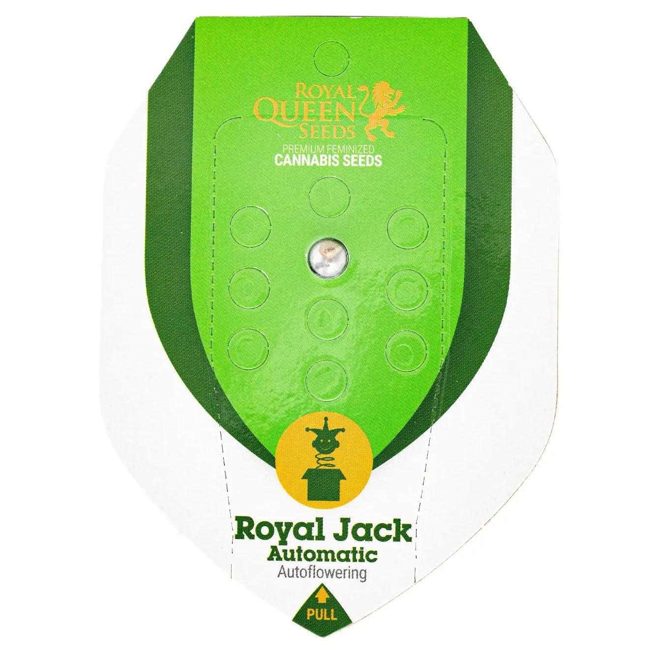 ROYAL JACK - Autoflower Cannabis-Samen