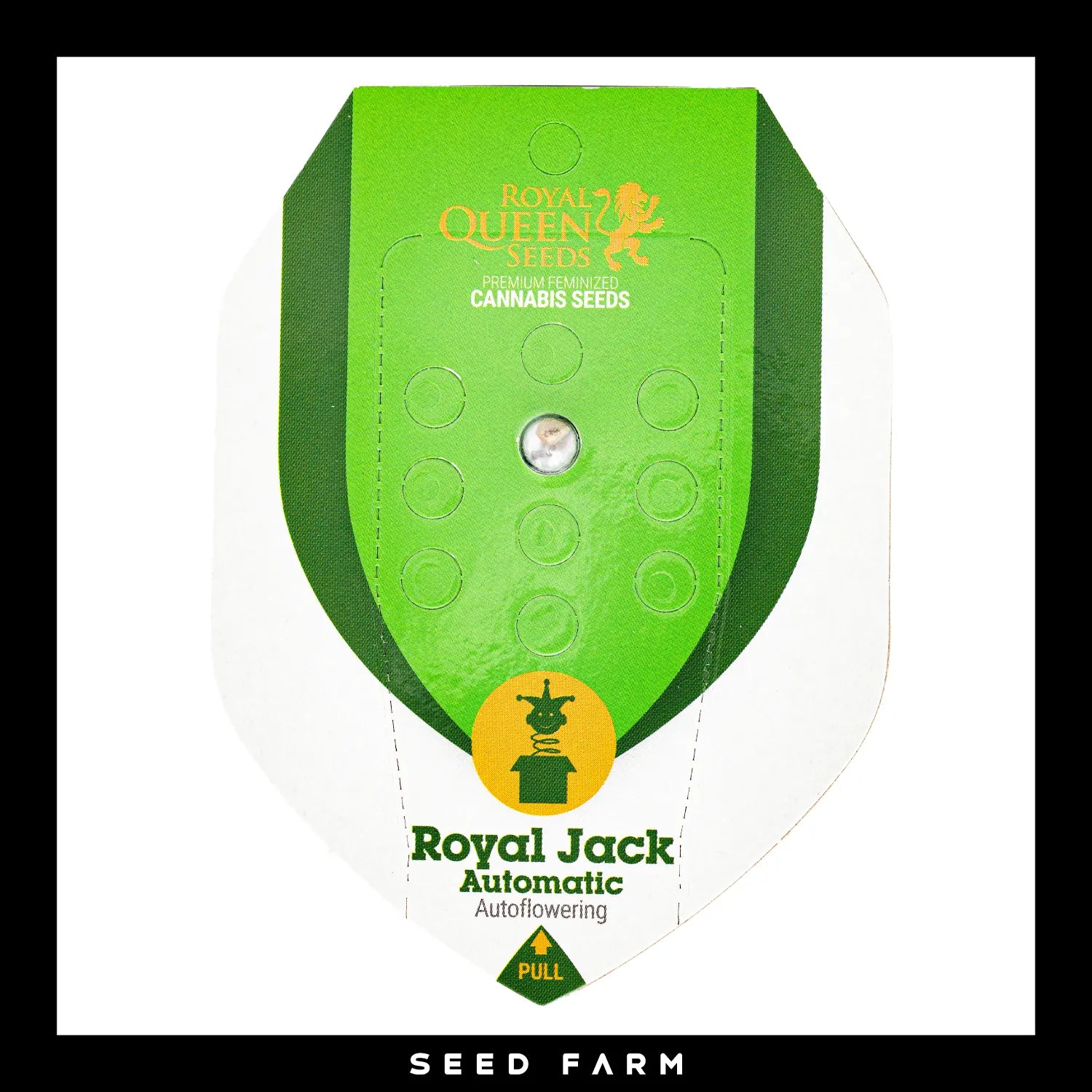 Royal Queen Seeds - ROYAL JACK - Automatic