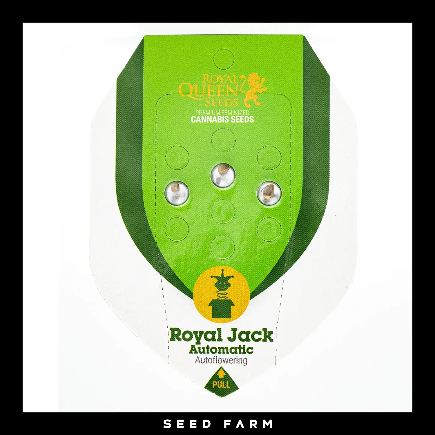 ROYAL JACK - Autoflower Cannabis-Samen