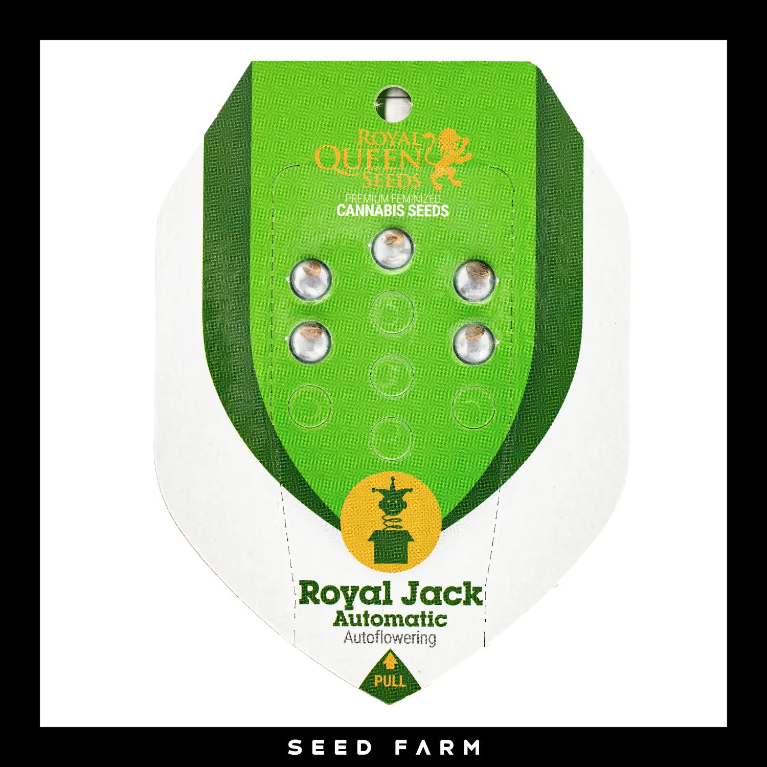 ROYAL JACK - Autoflower Cannabis-Samen