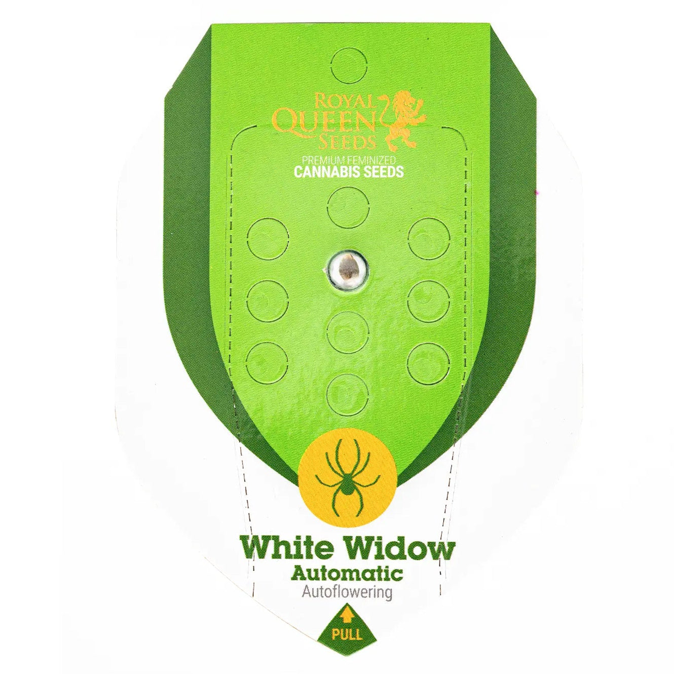 WHITE WIDOW - Autoflower Cannabis-Samen