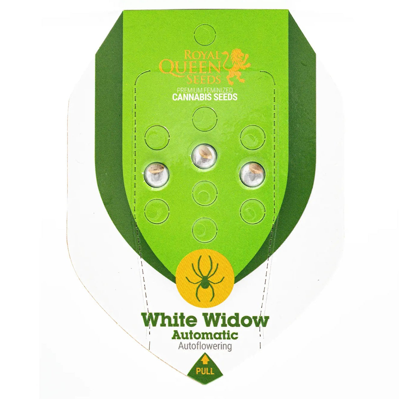 WHITE WIDOW - Autoflower Cannabis-Samen