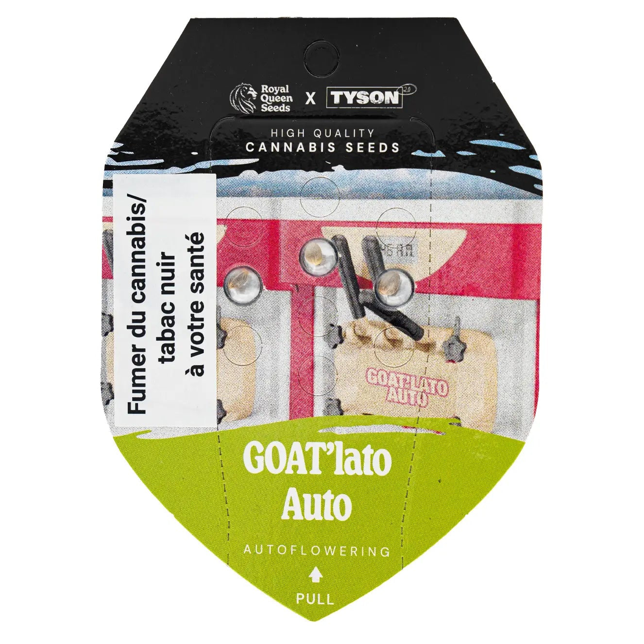 GOAT'LATO - Autoflower Cannabis-Samen