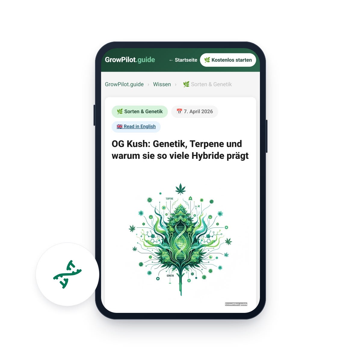 GrowPilot.guide Beitrag zu OG Kush, Genetik und Terpenen auf einem Smartphone