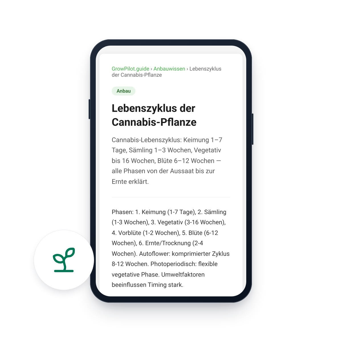 GrowPilot.guide Beitrag zum Lebenszyklus der Cannabis-Pflanze auf einem Smartphone