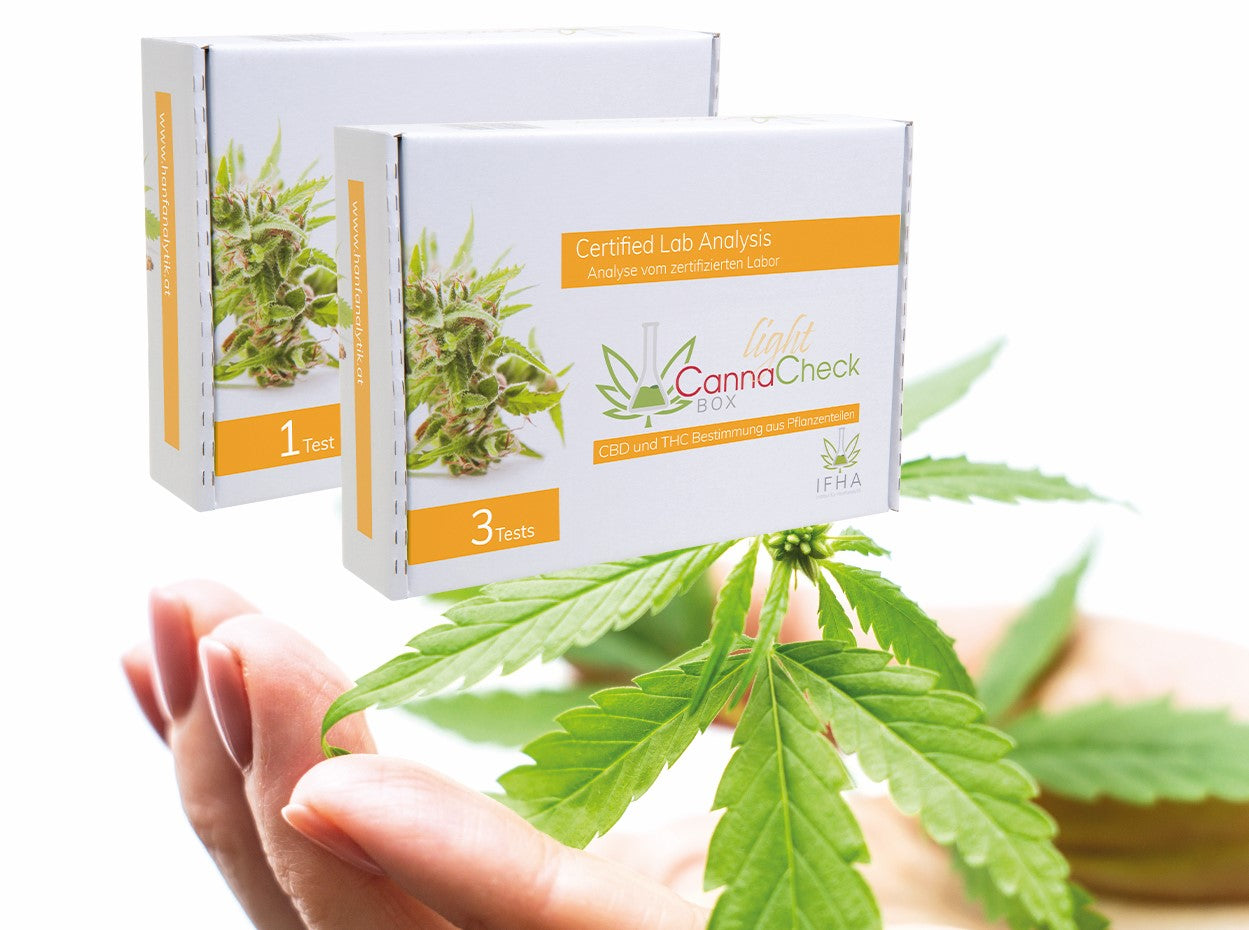 Zwei CannaCheck Box Light Verpackungen mit 1 und 3 Tests vor Hanfpflanze in einer Hand auf hellem Hintergrund