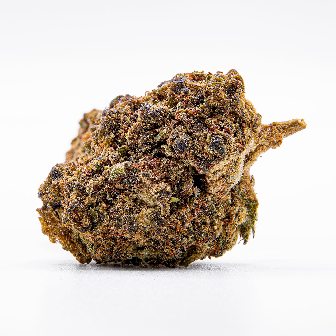 CBC+ Gorilla Glue Aromablüte mit dunklen grünen und violetten Nuancen, orangefarbenen Blütenfäden und dichter Harzschicht auf hellem Hintergrund