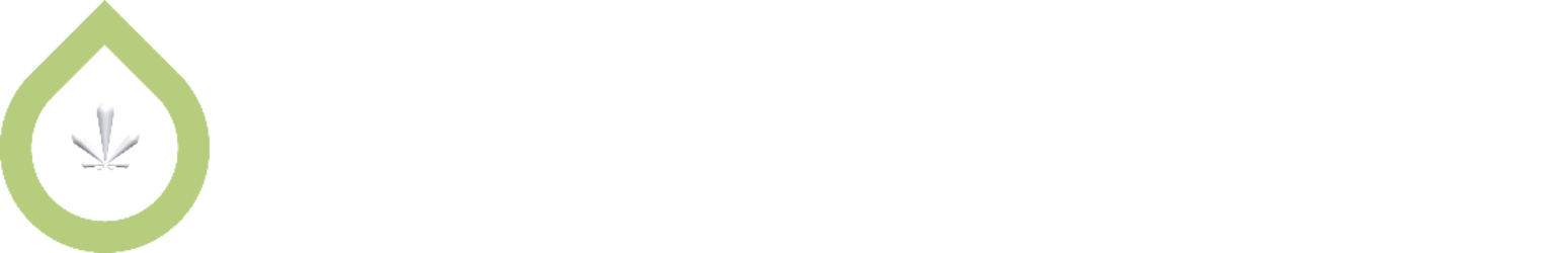 Canatrava Logo. web optimiert. Grüne geometrische Tropfen aus dickem Outline mit weißem grafischen cannabis Blatt in der Mitte und weißer Schrift.