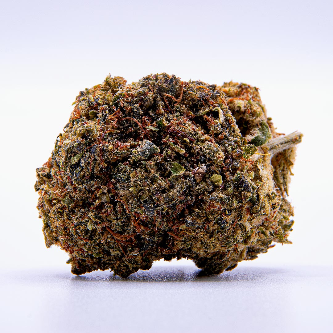 CBD New York Diesel Blüte mit dunkler, harziger Struktur und orangefarbenen Blütenfäden auf hellem Hintergrund