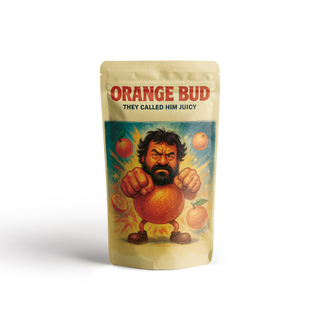 Standbeutel Orange Bud mit illustrativer Figur und Orangendesign auf hellem Hintergrund