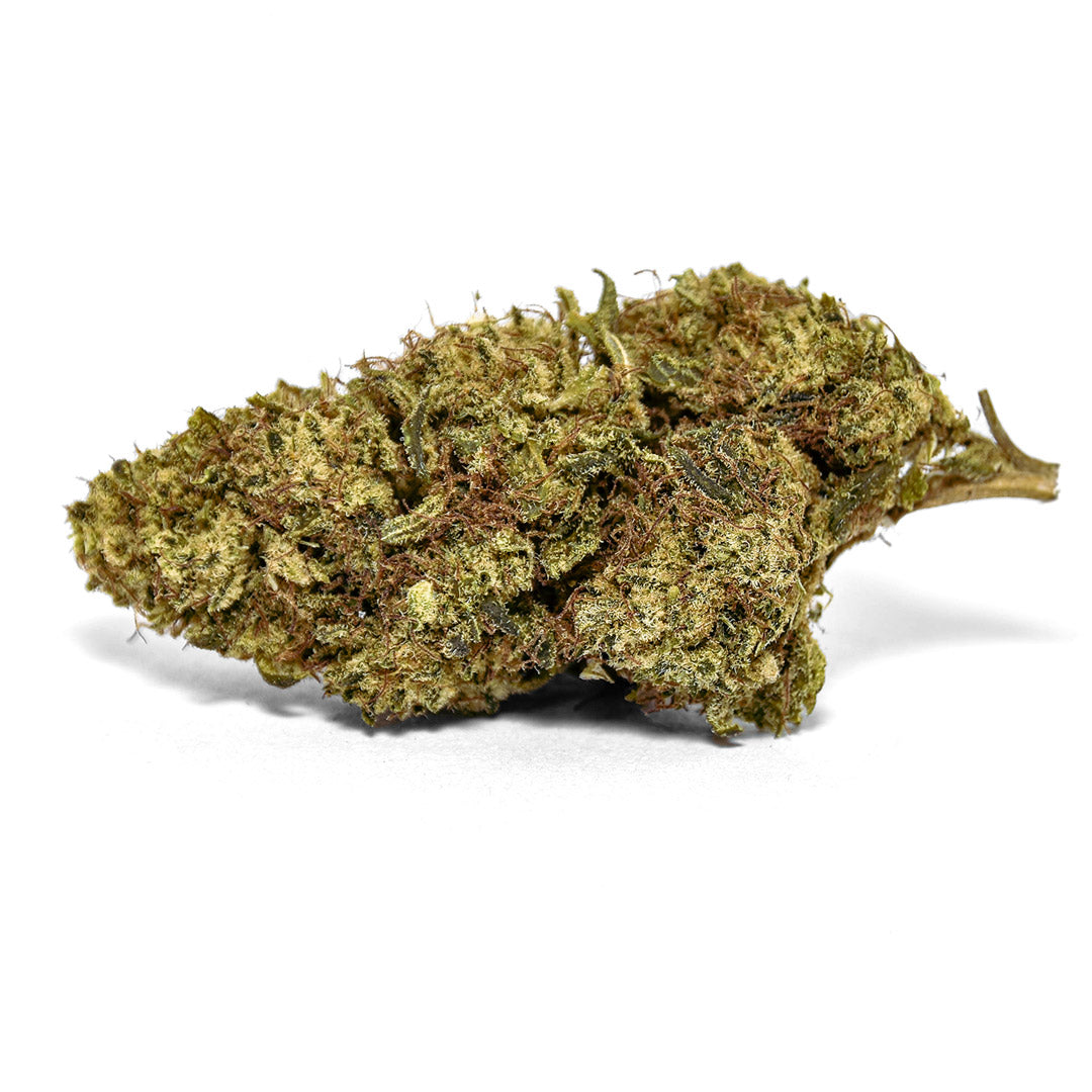 CBC+ Blüte Orange Haze mit dunkleren Nuancen, dichter Knospe und feiner Harzstruktur