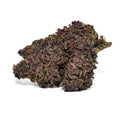 CBC+ Blüte Purple Haze mit dunkler Färbung, dichter Struktur und violettbraunen Nuancen